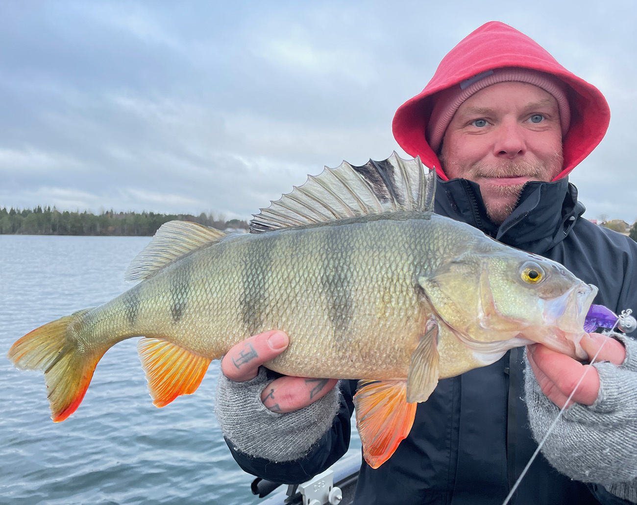 MajorCraft Ceana 7,6´ - 4-15gr